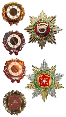 RARA Recognition Pins